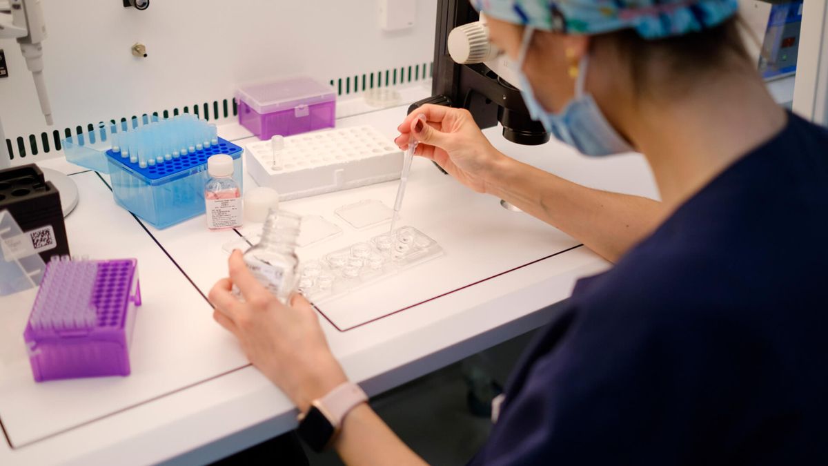 Laboratoire de la clinique IVF-Life